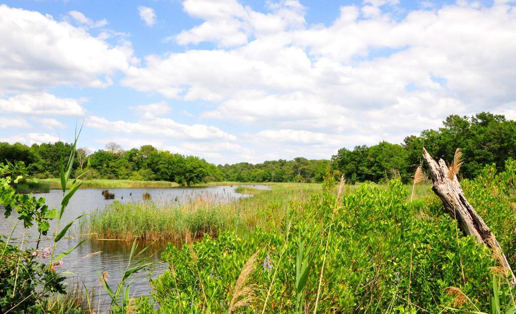 Residence Nemea Les Rives De Saint Brice アレ エクステリア 写真